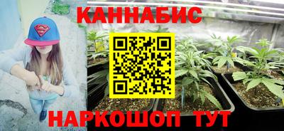 ешки Будённовск