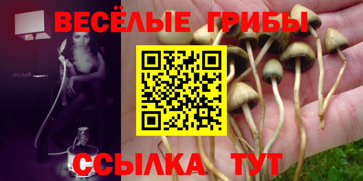 Галлюциногенные грибы Psilocybine cubensis  Вход с VPN  Тихорецк 