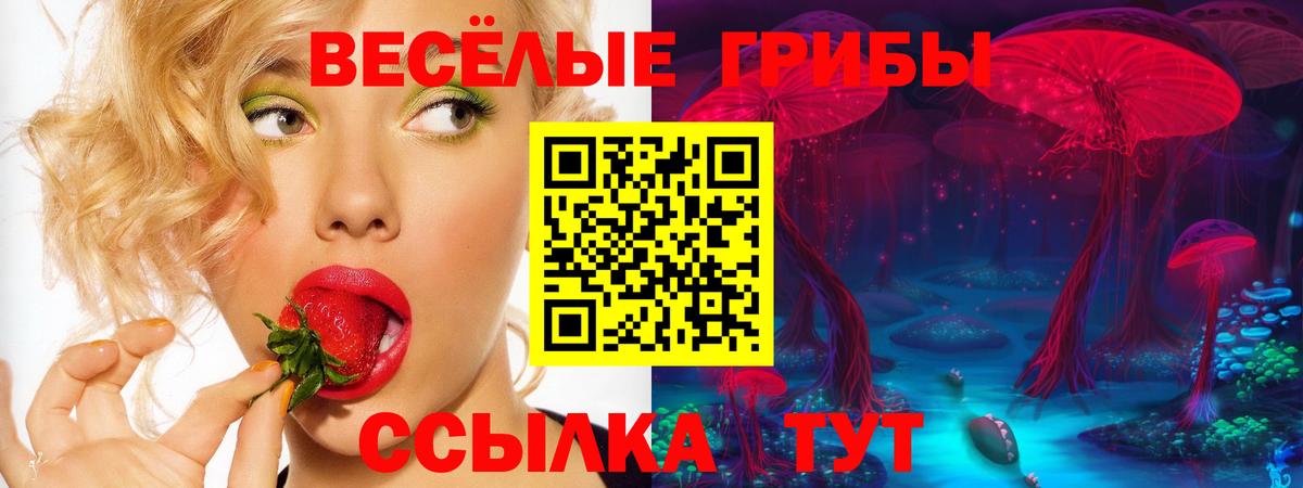 Псилоцибиновые грибы ЛСД Тихорецк